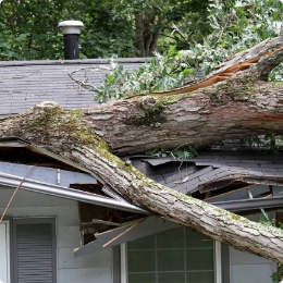 damage house